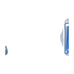 Custom Profile